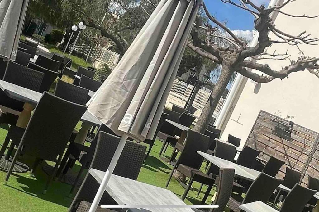 Cosy Odalys 3 Etoiles