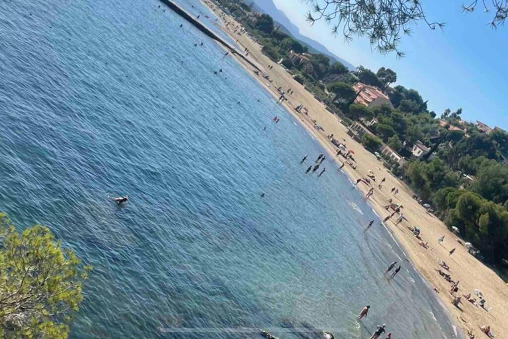 Appartement Cosy Odalys 3 Etoiles La Londe-les-Maures